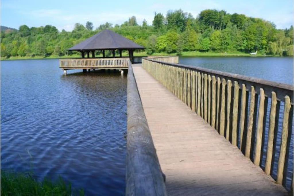 La Cle Des Ardennes Villa วีแยลซาลม์ ภายนอก รูปภาพ